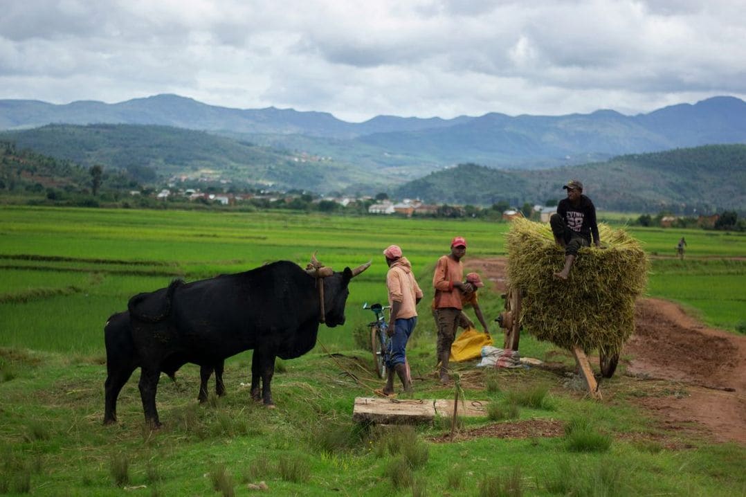 Sierra del Camino Ganadería 5